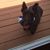 Deb Miller's profile image