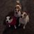 Rhonda Kuehne's profile image
