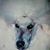 Jose Antonio Lastra Ibañez's profile image
