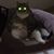 Sharyn David UzRasmussen's's profile image
