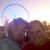Kayla Wade's profile image
