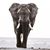 Candace King's profile image
