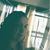 Shana Titus Widger's profile image