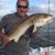Freddie Pekar's profile image