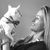 Vasi Siedman's profile image