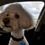 Ginny Nelson's profile image