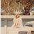 Penny Grubbs Stone's profile image