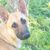 Mary Hendricks's profile image