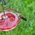 Maureen J. Doyle's profile image