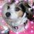 Tally Jo's profile image