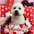 Debi Ottman McIntosh's profile image