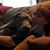 Jeane Shuey Peters's profile image