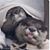 Jackie Potvin's profile image