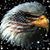Derek Brown's profile image