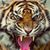Joseph Phillip Reiland's profile image