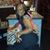 Amanda Young's profile image
