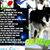 Anita Price Wilson Simon's profile image