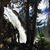 Carolyn Wrightam's profile image