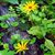 Martha S Summey's profile image
