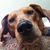Donna Jean Mattingly's profile image