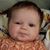 Mike Golucki's profile image