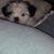 Kathy Saucerman Plunkett's profile image