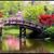 Julie Sharlow's profile image