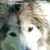 Debra Cassiero's profile image