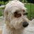 Heather Mary Titus's profile image