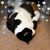 Hannah C Stricker's profile image