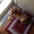 Merlena Bensheimer's profile image