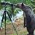 John Purvis's profile image