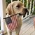 Celia K Grigsby's profile image