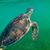 Sherri Ebner's profile image