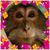David Bowles's profile image