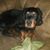 Lisa Gordon's profile image