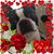 Lisa Conner's profile image
