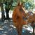 Kerry Deans Cooper's profile image