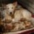 Christiane Weihermuller Parsons's profile image