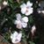 Brenda Jeffrey-Drottz's profile image
