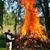 Andrew Paluch's profile image