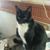 Holley Gilliland's profile image