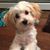 Kelly DiNitto's profile image