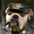 Jeff Csonka's profile image