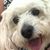 Julie Martin Gordon's profile image