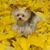 Joe Novo's profile image
