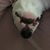 Karen Wertz's profile image