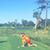 Michael Thibadeau's profile image