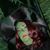 Michele Cromie Jaron's profile image