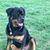 Collette Moyer's profile image